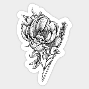 Peony Sticker